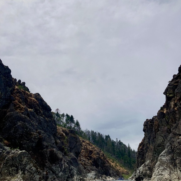 Meet your Posher, Jessie Leigh - Picture 5 of 11